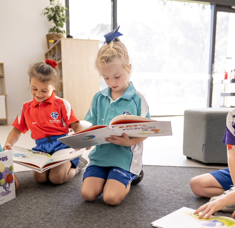 Pre-Primary Image
